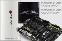 Pierwszy etap promocji MSI zakończony