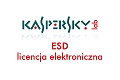 YAMO dystrybutorem licencji ESD oprogramowania KASPERSKY