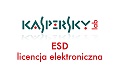 YAMO dystrybutorem licencji ESD oprogramowania KASPERSKY YAMO dystrybutorem licencji ESD oprogramowania KASPERSKY